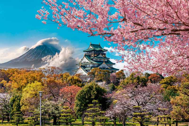 Viaje a Japón