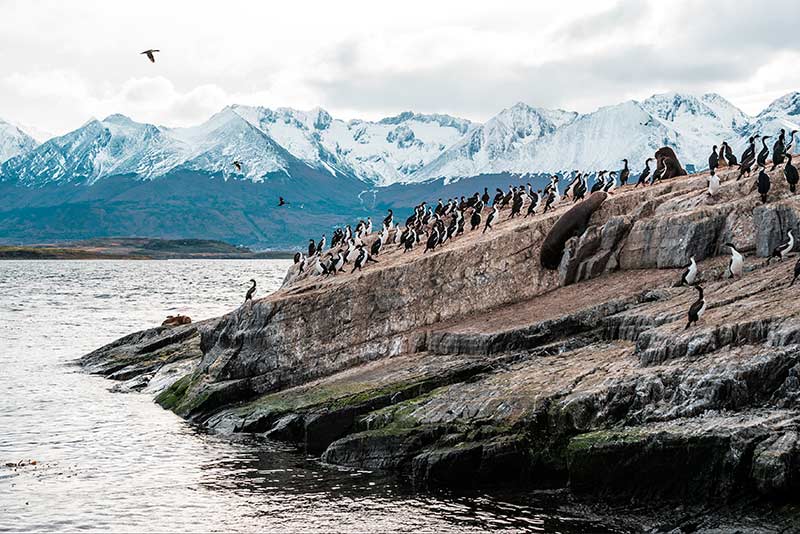 Crucero por Patagonia y Tierra de Fuego