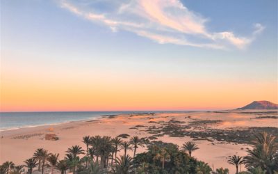 MEJORES COSAS QUE HACER EN FUERTEVENTURA