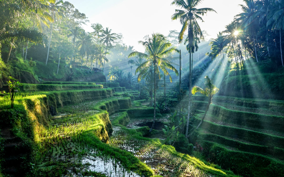 9 Lugares Más Increíbles de Indonesia
