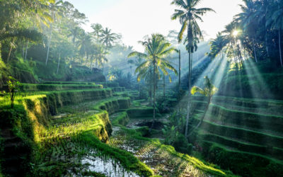 9 Lugares Más Increíbles de Indonesia
