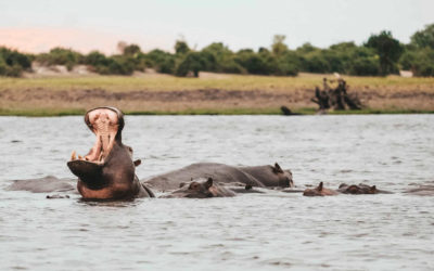 Viajar a Namibia en 2021